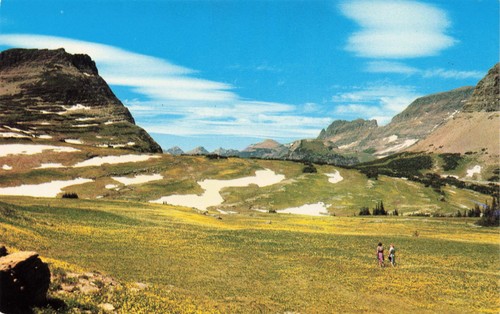 Cartolina montana prato alpino - cartolina,